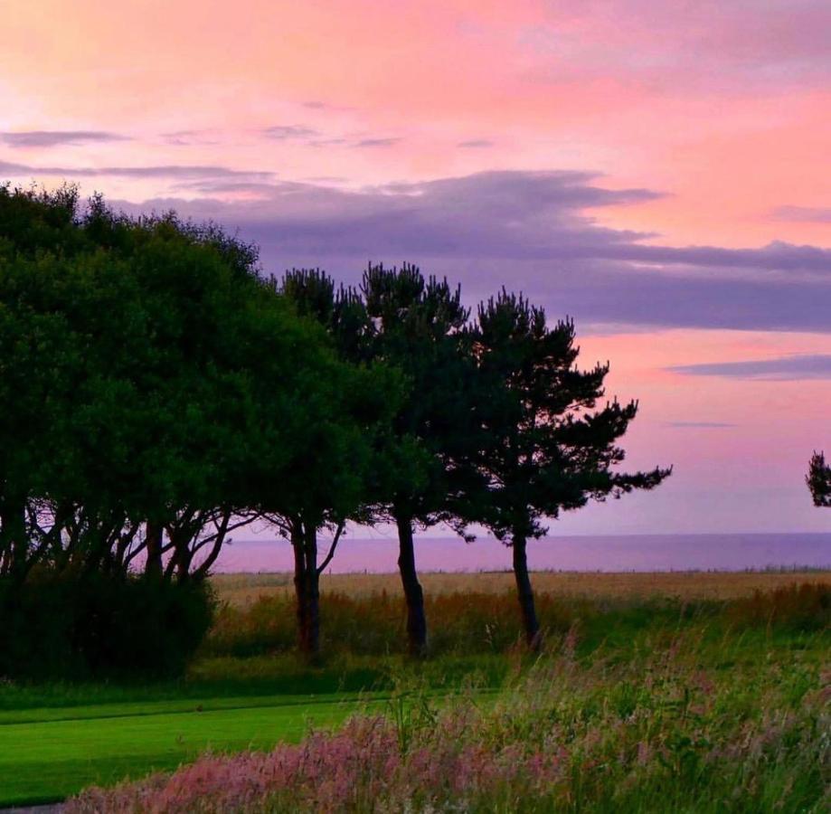 Normandy'S Green By The Sea Port-en-Bessin-Huppain Exteriör bild